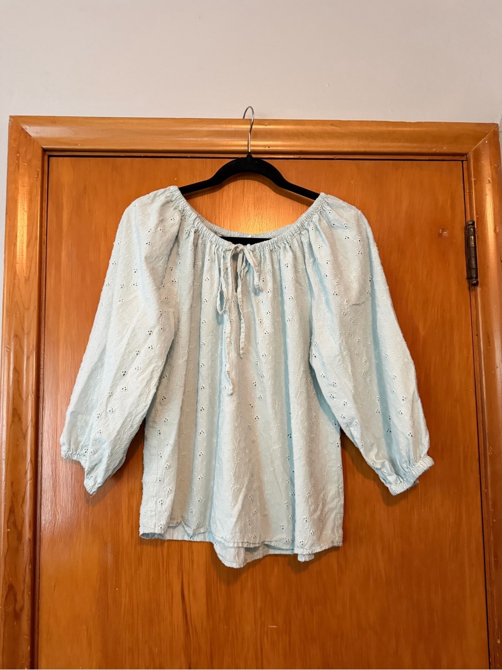 Joie Light Blue Eyelet Peasant Blouse
